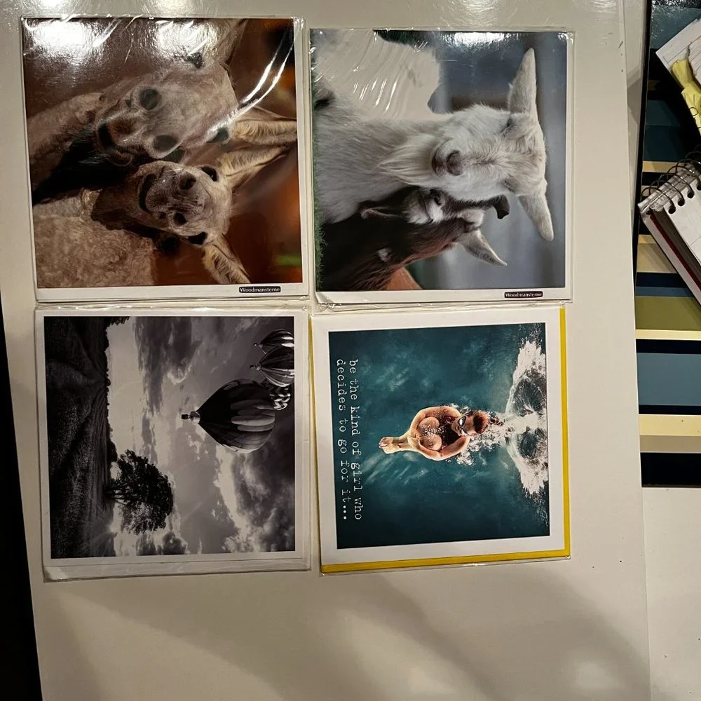 Greeting Cards - Beautiful Photography - Blank‎ (Set of 4 / New)